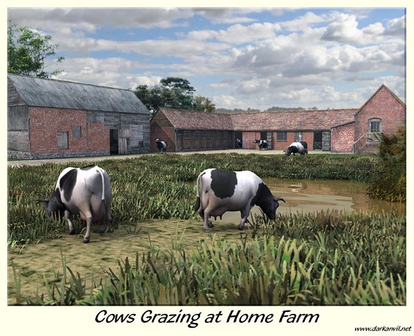 Cows Grazing at Home Farm by Dark Anvil