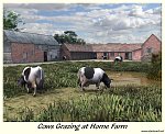 Cows Grazing by Dark Anvil