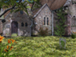 Dandelions by Iloco
