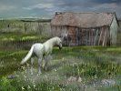 House & Barn by Martial