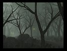 The Misty Tavern