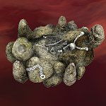 Sacrificial Altar, Burnt Tree & Edifice