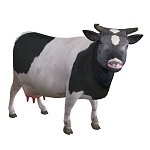 Cow