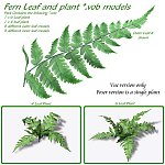 Fern