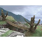 Ravens Ravine