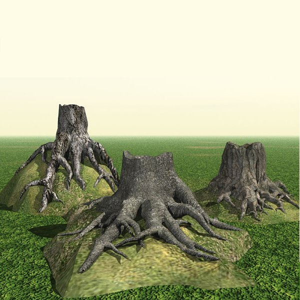 Tree Roots