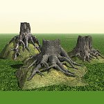 Tree Roots