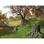 Tree Roots